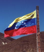 Venezuelan National Flag